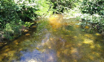 Imagem 7: 50 hectares na estrada de igarapé açu por 400 mil reais documentada