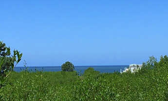 Imagem: Ótimo terreno com escritura pública com