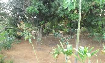 Imagem 6: Sitio de 1.000m² todo telado, Jaboticatubas(Temos varias opções)