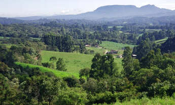 Imagem 2: Belíssimo Sítio entre Rio Rufino e Urubici