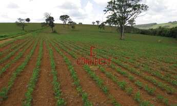 Imagem 3: Fazenda com 1 dormitório à venda, 12380000 m² por R$ 39.000.000,00 - Zona Rural - Pimenta