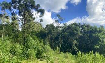 Imagem 4: Lugar Especial e Imperdível! Belíssimo Terreno de 5.431m² - O Melhor de Marmelópolis/MG