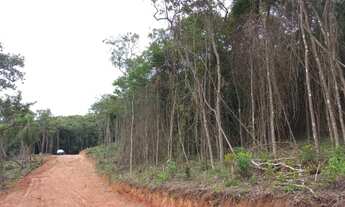 Imagem 3: Chacrinha de 500 e 1000m2 IBIUNA - Campo Verde - Ibiúna - SP