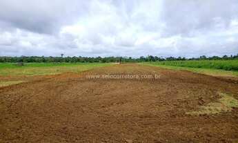 Imagem: Excelente Fazenda no Muni. De Alta Floresta-MT