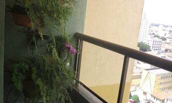 Imagem 7: Lindíssima Cobertura com 3 Dormitórios, 1 Suíte, 4 Banheiros, 4 Vagas de Garagem - Moinho