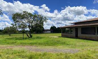 Imagem 6: Fazenda 225 hec em Cantanhede/Ma