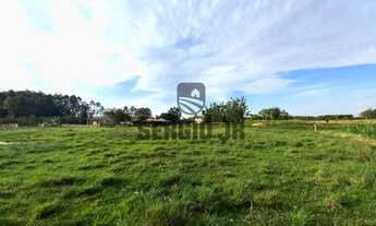 Imagem 3: Sítio com 1,7h, 2 casas, galpão, açude em Triunfo - Aceito veículo
