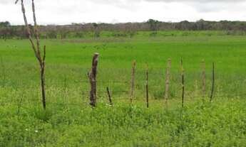 Imagem 3: FAZENDA CARNAÚBA NO QUIXADA