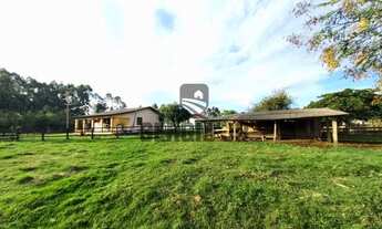 Imagem 2: Sítio com 1,7h, 2 casas, galpão, açude em Triunfo - Aceito veículo