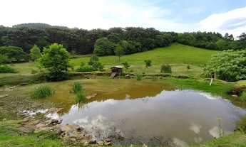 Imagem 2: Sítio com à venda, 50000 m² por R$ 1.290.000 - Morro Reuter/RS