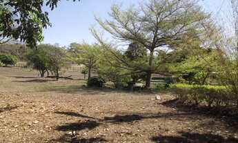 Imagem 6: Sitio 15.000 m² casa, piscina privativa, piscina externa, dois açude, córrego nos fundos