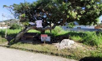Imagem 6: Vendo Terreno medindo 382 m², em frente ao Campo do Paissandu FC, Aririú, Palhoça SC
