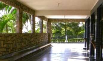 Imagem 4: Jazigo, 2 , lugares- Parque da paz-Orquídeas