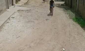 Imagem 4: Casa Casa com 2 dormitórios