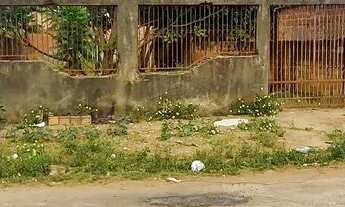 Imagem 2: Lote setor 8 de 500 metros escriturado