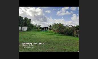 Imagem 3: Excelente sítio com 2 hectares a dois KM do centro do Cabo