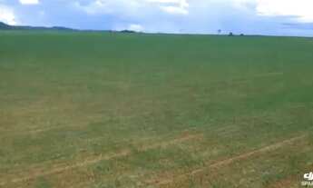 Imagem 6: R$95 Milhões Fazenda de 333 alqueires em Itauçu-Go