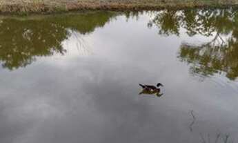 Imagem: Linda chácara no Bairrinho, s.j.c