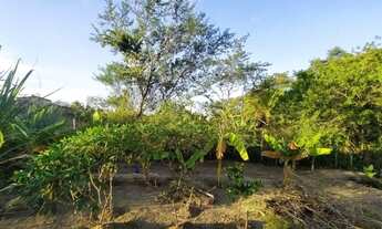 Imagem 6: Vendo chácara em lagarto