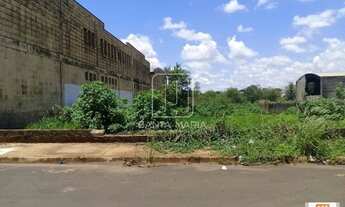 Imagem 3: Terreno (terreno normal