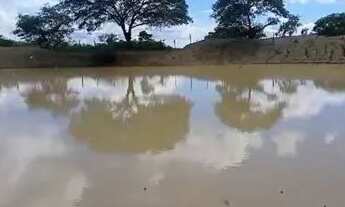Imagem 6: Fazenda 800 Hectares... Destaque Pecuária. 2.800.000.00