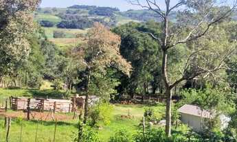 Imagem 2: Chácara em Lindoeste