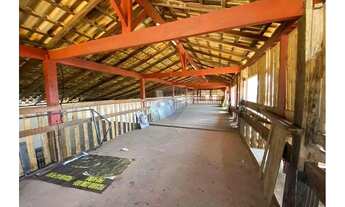 Imagem 12: Espaço Comercial em frente a Rodovia Capitão Bardoino