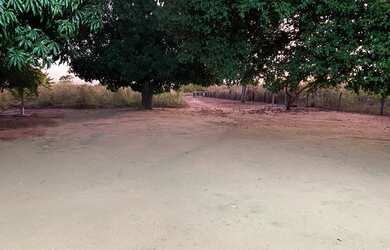 Imagem 4: Sítio Chácara com venda por R$420.000