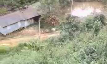 Imagem 2: Vendo sítio em Alfredo Chaves