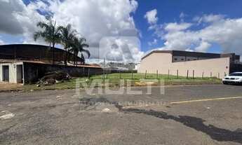 Imagem 3: Terreno - DANIEL FONSECA