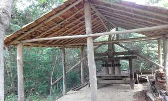 Imagem 2: Excelente sítio, 10 hectares, com casa principal e casa de hóspedes