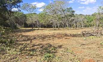 Imagem 4: CHÁCARA 30.000 METROS - 1KM ASFALTO e 7KM UBERLÂNDIA