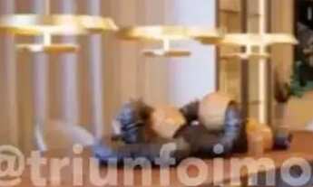 Imagem 5: Condomínio Terras Alphaville - Casa em condomínio no Novo Uruguai TR206936 THE - 3TR2KQ