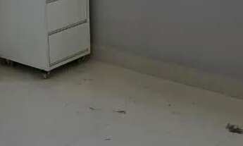 Imagem 2: Apartamento 2/4 sendo 1 suíte. Finamente decorado no Cond. Spazio Soberano, Buraquinho, LF