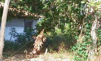 Imagem 7: Lote a venda Chácara com venda por R$1.200.000