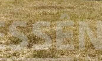 Imagem 2: Lote à venda com 300m2 - Jardins Porto