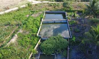 Imagem 2: Sítio em caldas do jorro