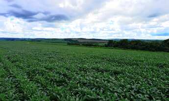 Imagem 5: Fazenda em Abadiânia-Go - 201 Hectares