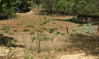Imagem 2: Vendo , estrada para Glaucilândia perto mandacarú