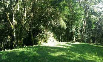 Imagem 6: Natureza viva e original