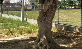 Imagem 5: TERRENOS 15 X 30 ÁREA 450,00 m² RUA WAÇAÚDI KURYPARQUE SANTO DUMONT