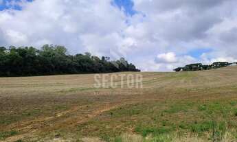 Imagem 4: Terrenos / Lotes / Condomínio em Boa Vista - Contenda