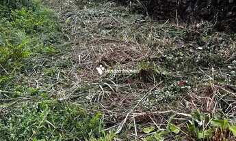 Imagem 3: Lote a venda medindo 2487m²