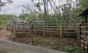 Imagem 4: Fazenda 23 hectares Juramento MG