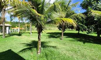 Imagem 6: Chácara de 1 Alqueires - Elias Fausto/SP