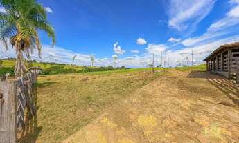 Imagem 6: Fazenda 32 Alqueires - Sanclerlândia Goiás