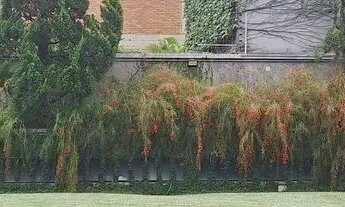 Imagem: Imóvel para aluguel tem 486 metros quadrados