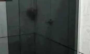 Imagem 4: 07- Casa no São Cristóvão