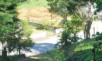 Imagem 3: Terreno em rancho queimado