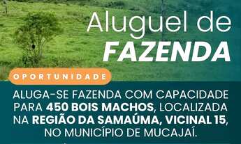 Imagem: Aluga-se uma fazenda
